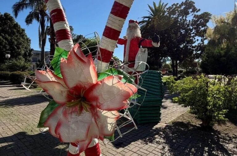 “Navidad en Colores”: la campaña sustentable que busca transformar envases plásticos en Pilar