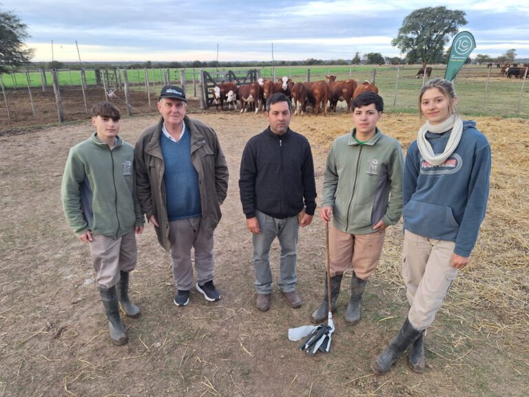 De la escuela al remate: Los Colonizadores afianza su cabaña Braford entre las más destacadas de la región