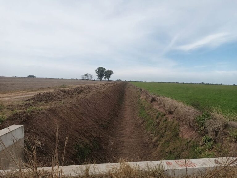 San Carlos Sud: avanza con trabajos de mantenimiento en el Canal López y Planes